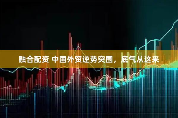 融合配资 中国外贸逆势突围，底气从这来