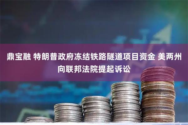 鼎宝融 特朗普政府冻结铁路隧道项目资金 美两州向联邦法院提起诉讼